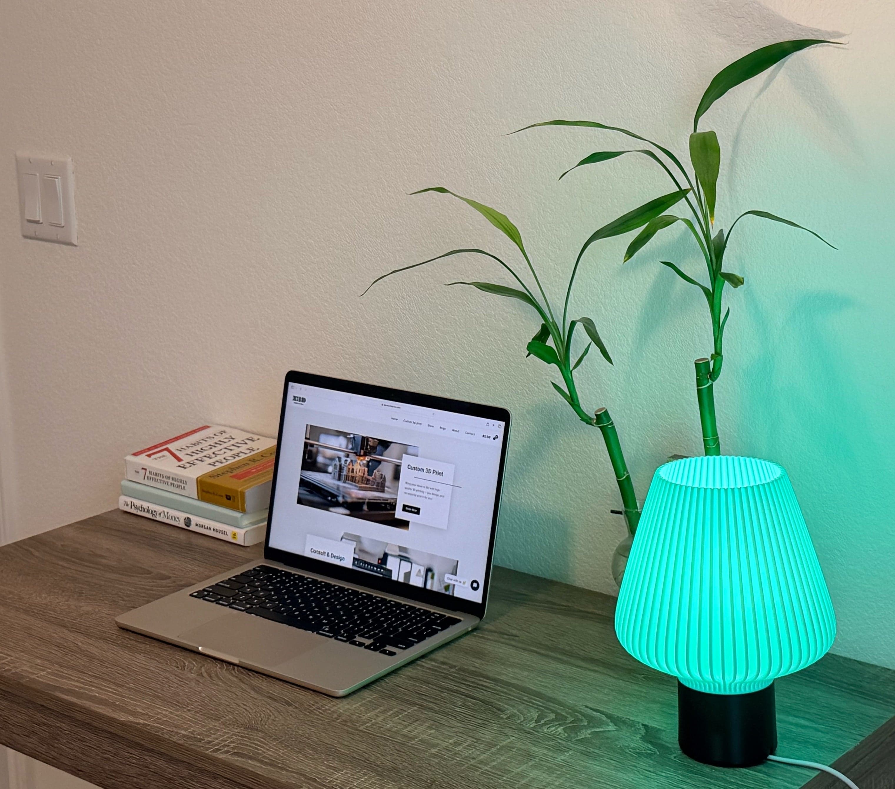Aurora Shade Lamp - 3D printed table lamp